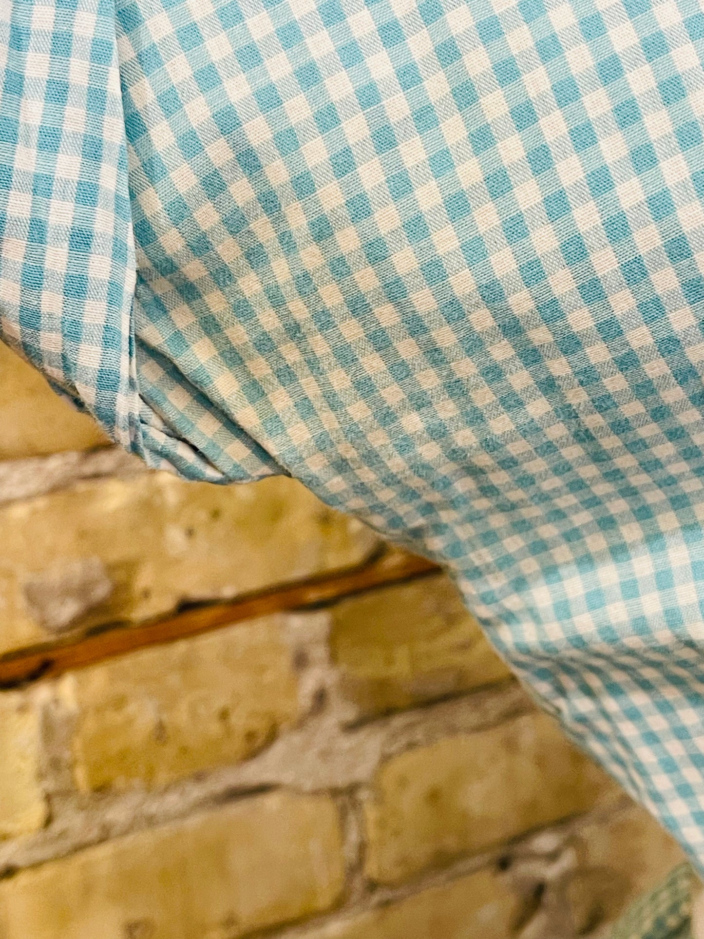 Blue Gingham Day Dress