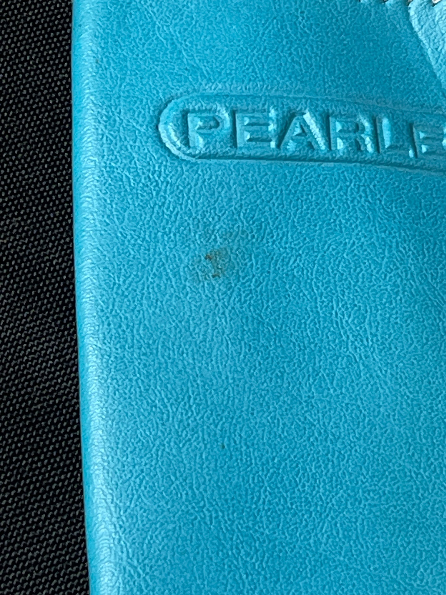 Pearle Eyeglass Case