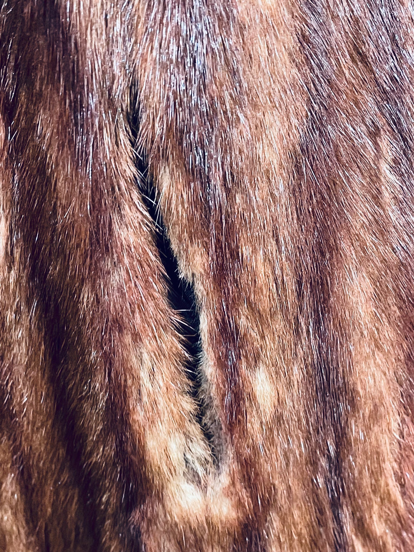 Muskrat Fur Coat