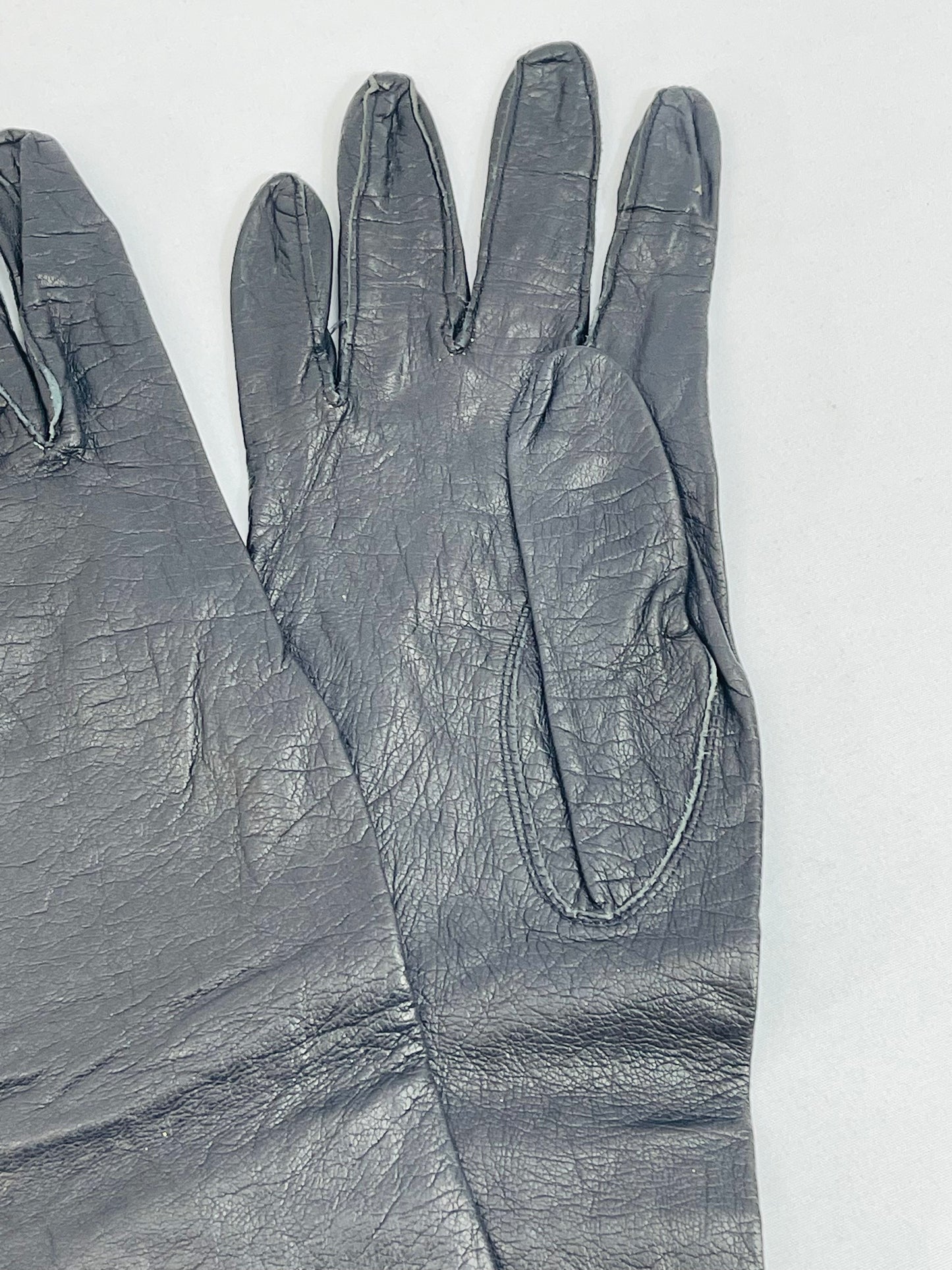 Black Elbow Length Leather Gloves