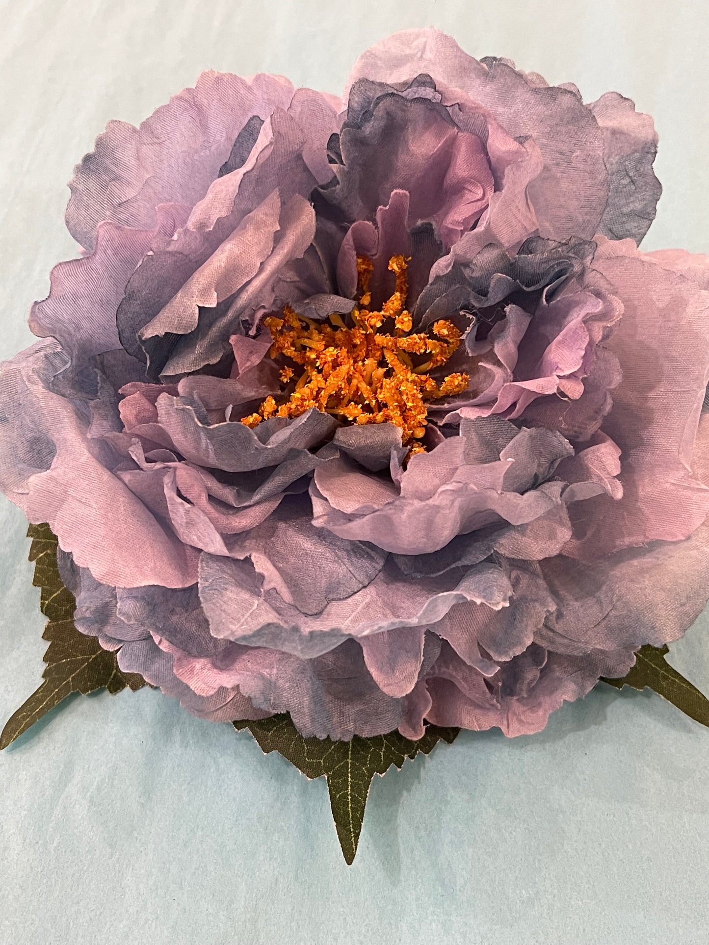 Blue & Purple Hairflower
