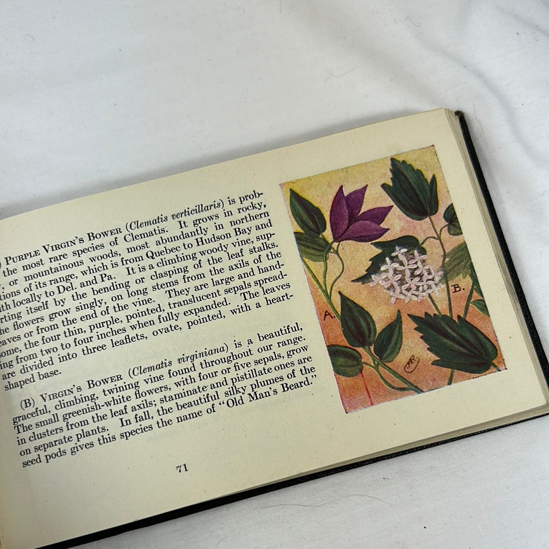 1922 Flowers Guide Book