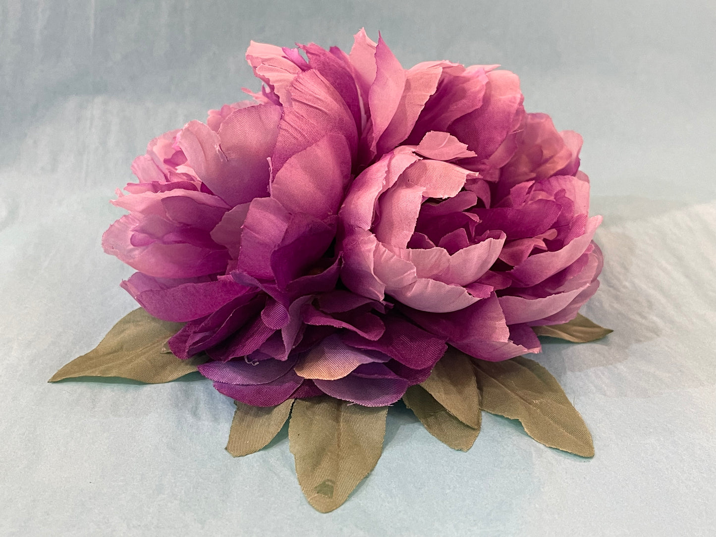 Double Purple Hairflower
