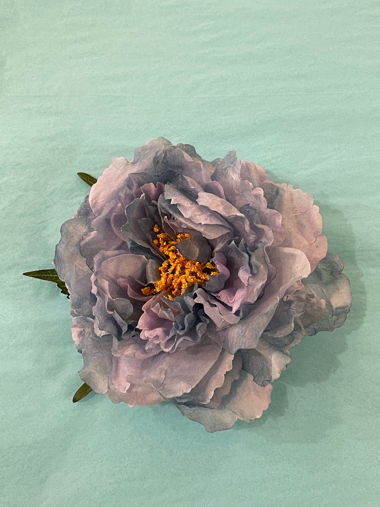 Blue & Purple Hairflower
