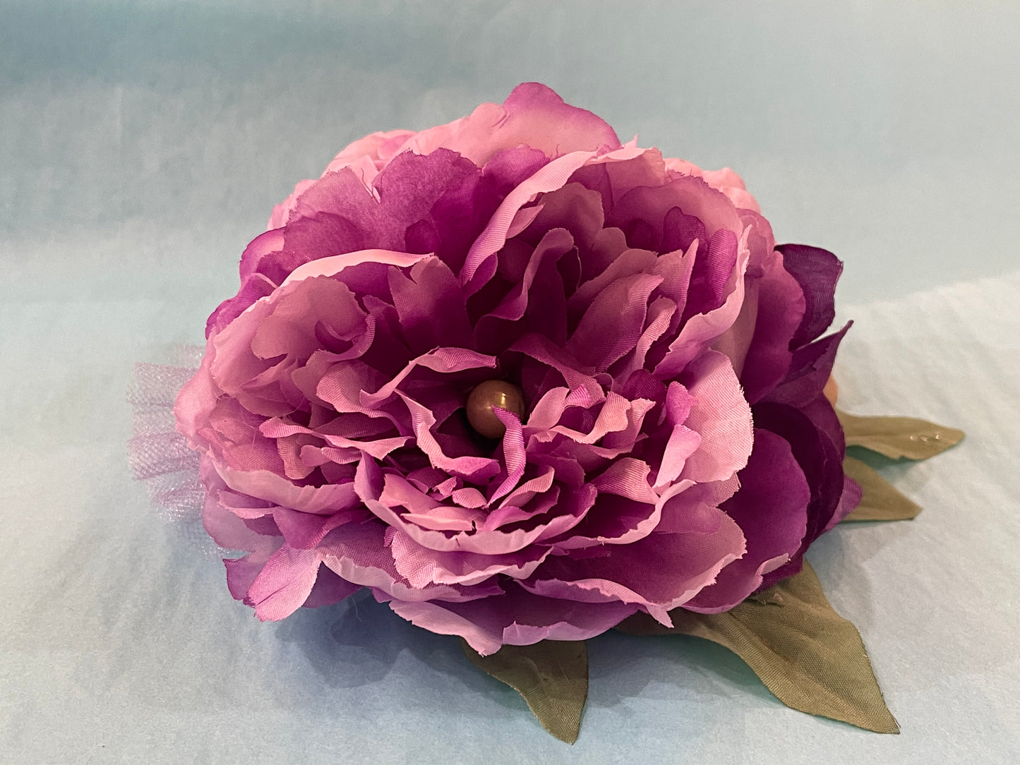 Double Purple Hairflower