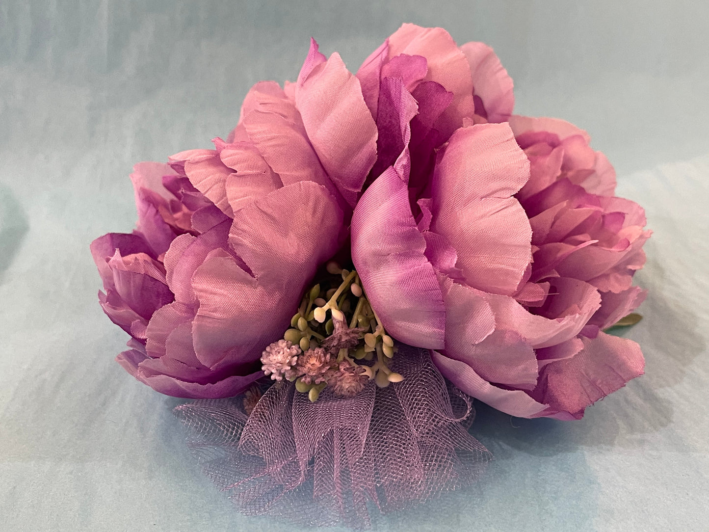 Double Purple Hairflower