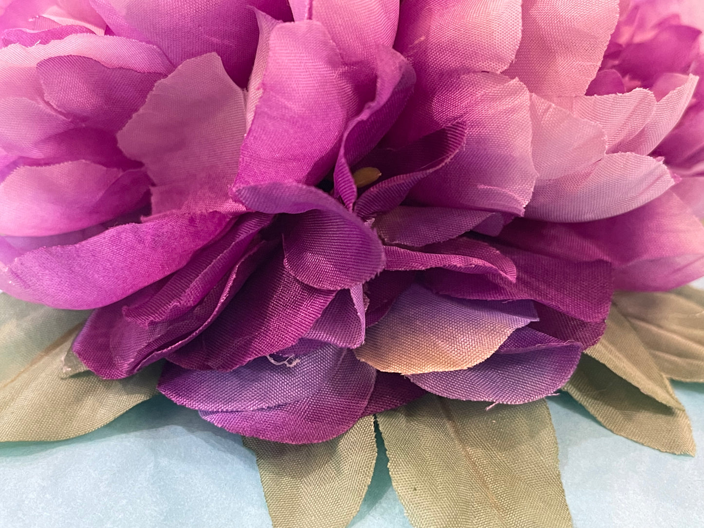 Double Purple Hairflower