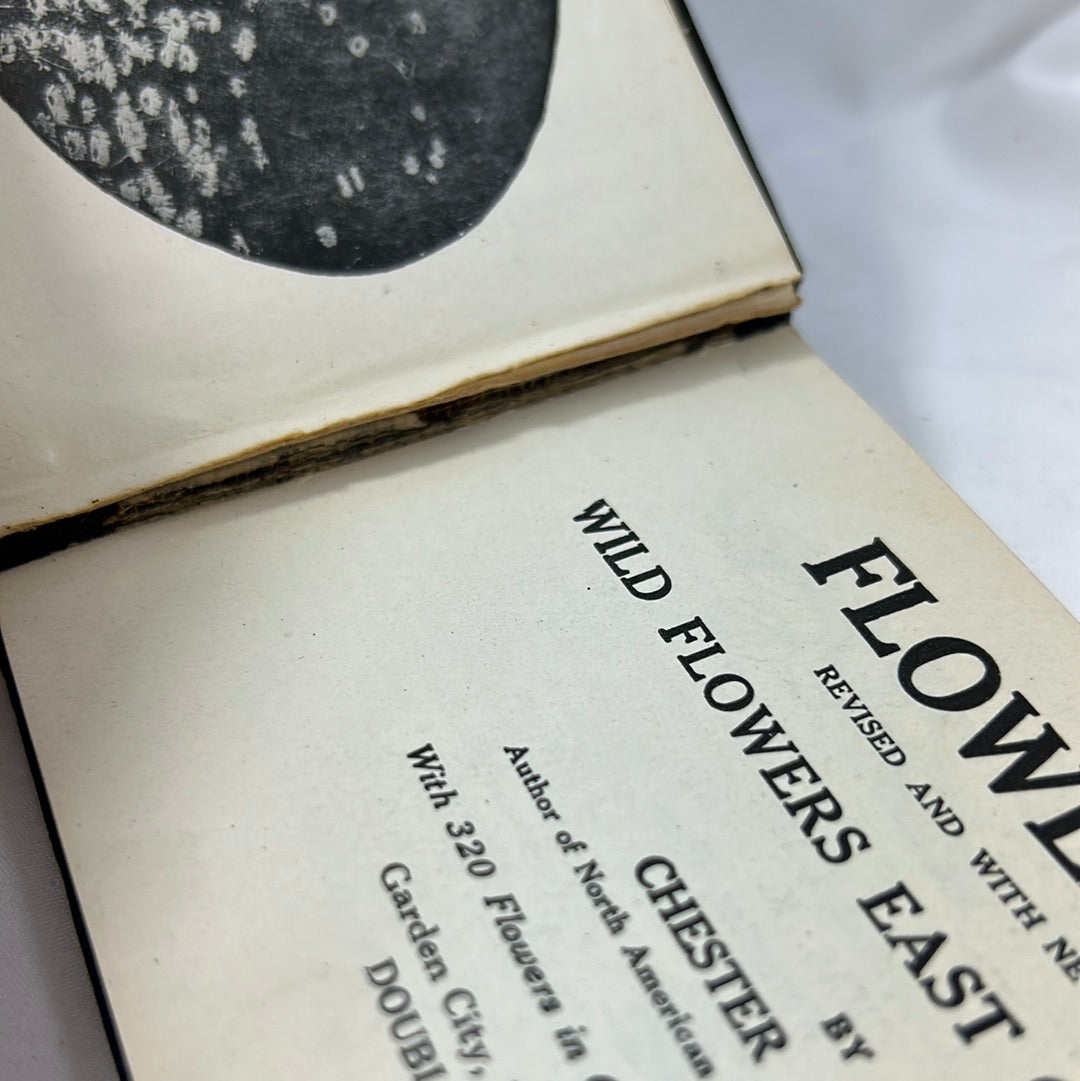 1922 Flowers Guide Book