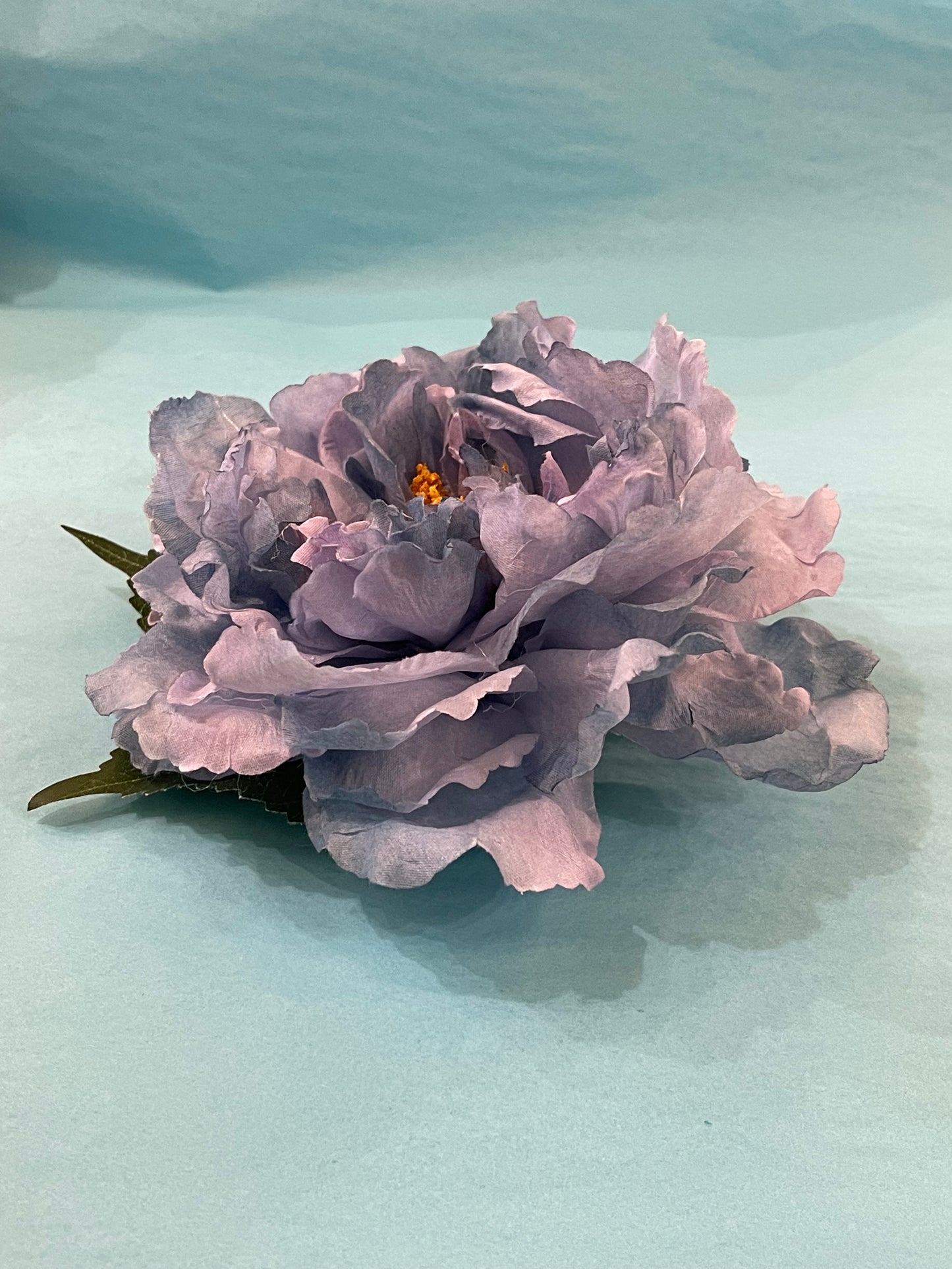 Blue & Purple Hairflower