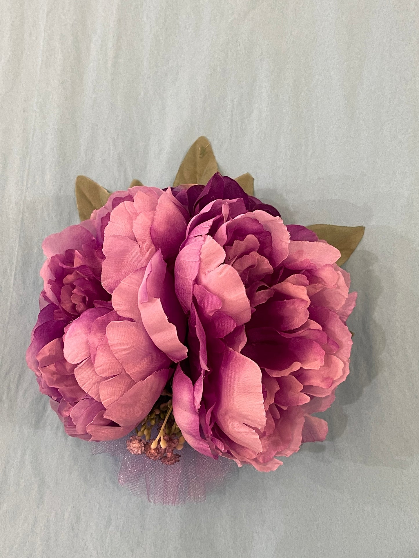 Double Purple Hairflower