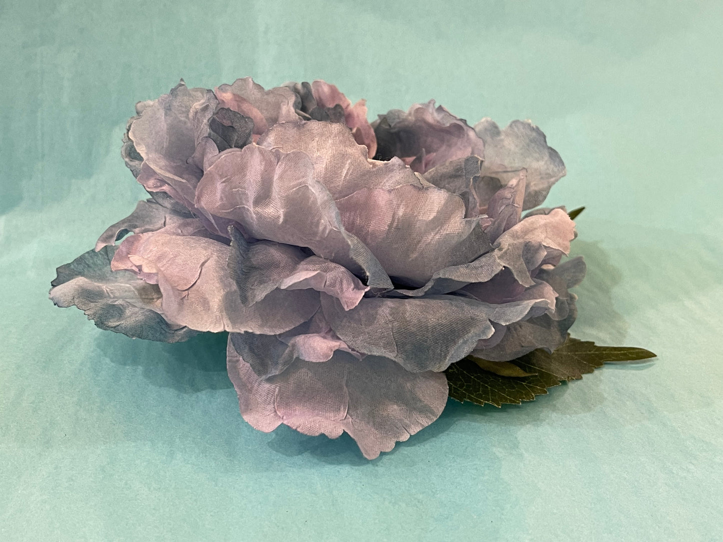 Blue & Purple Hairflower