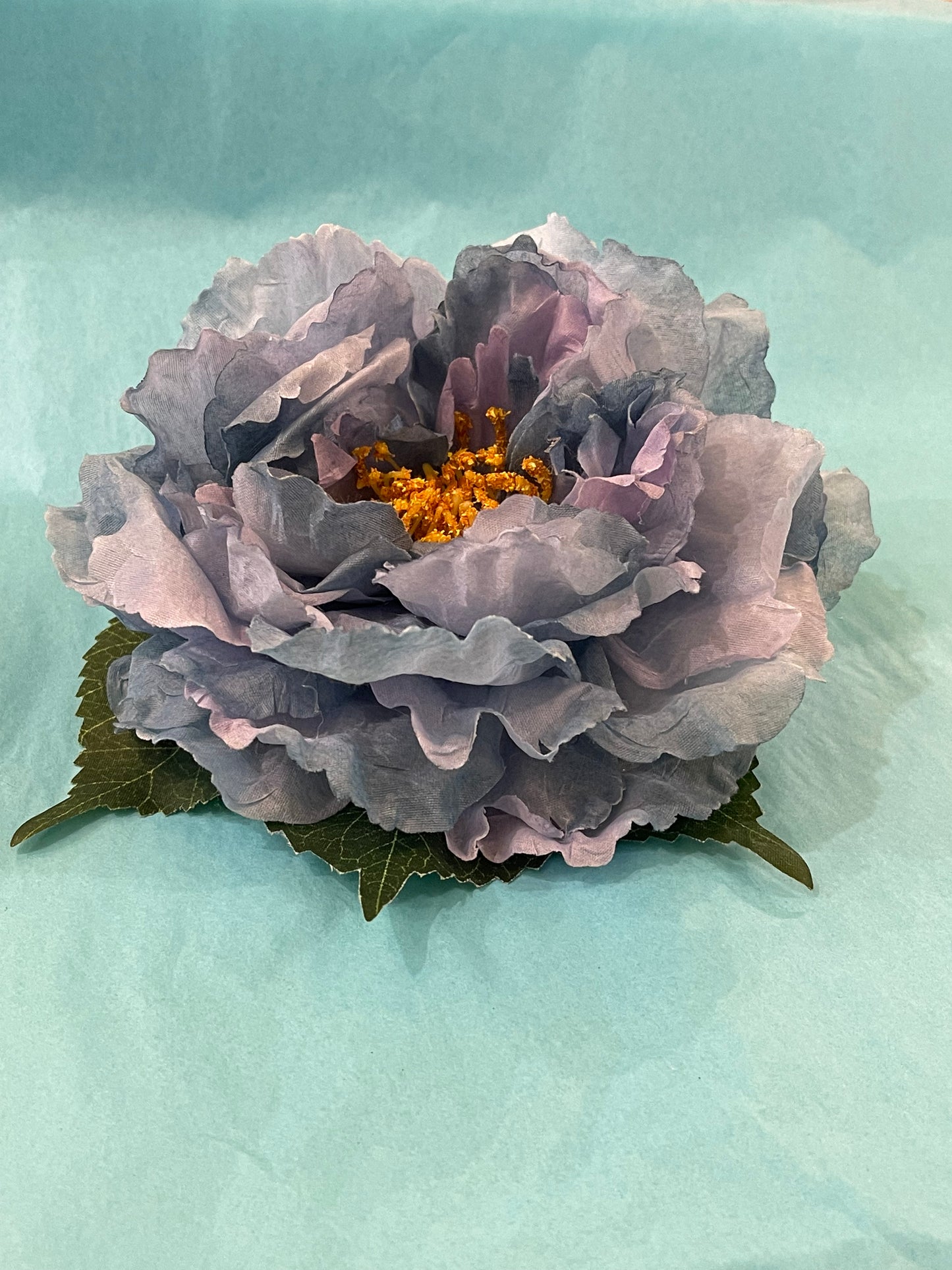 Blue & Purple Hairflower