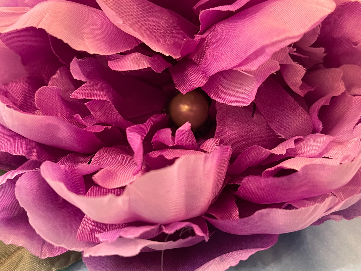 Double Purple Hairflower