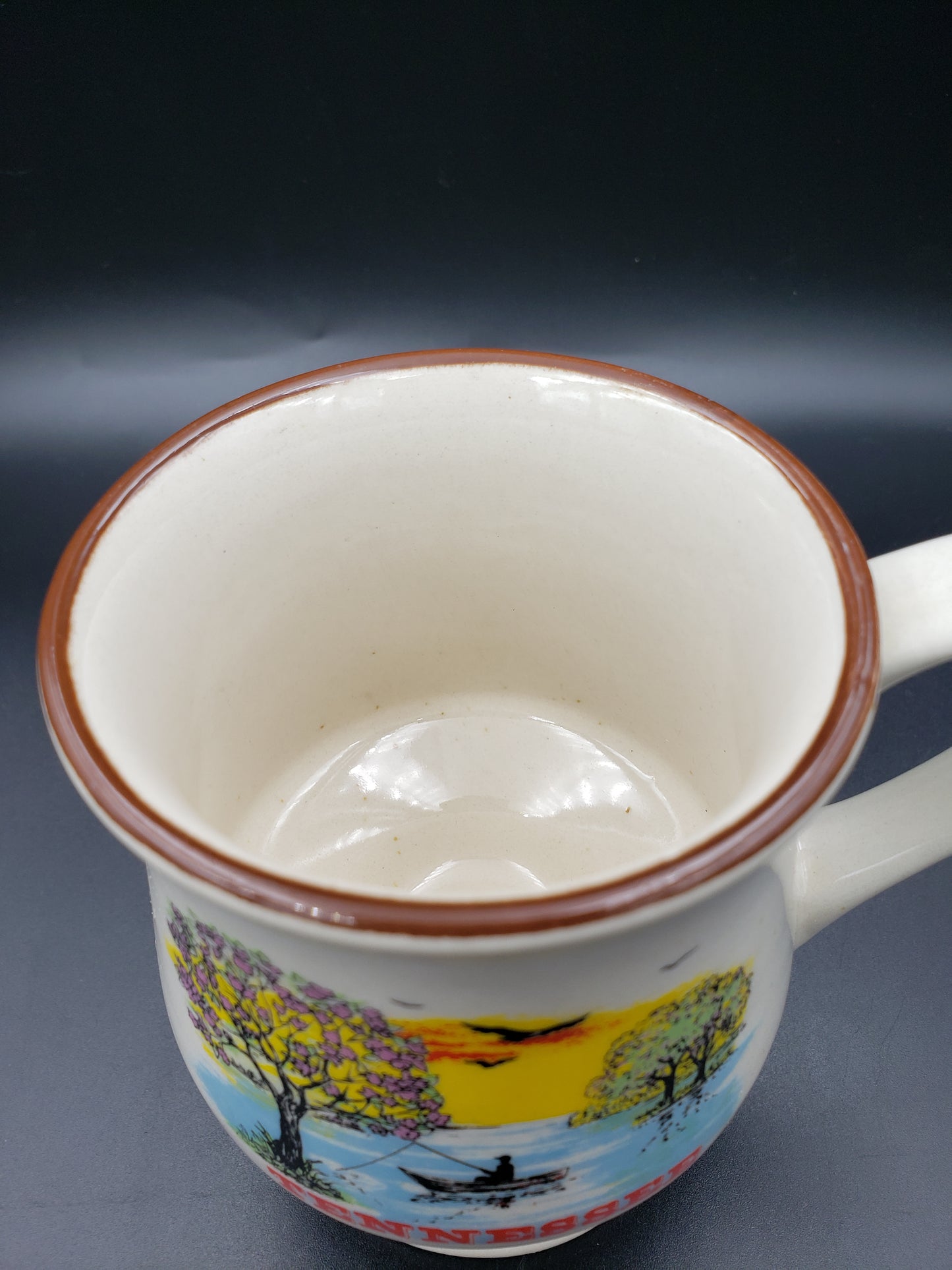 Vintage Tennessee State Collector Mug