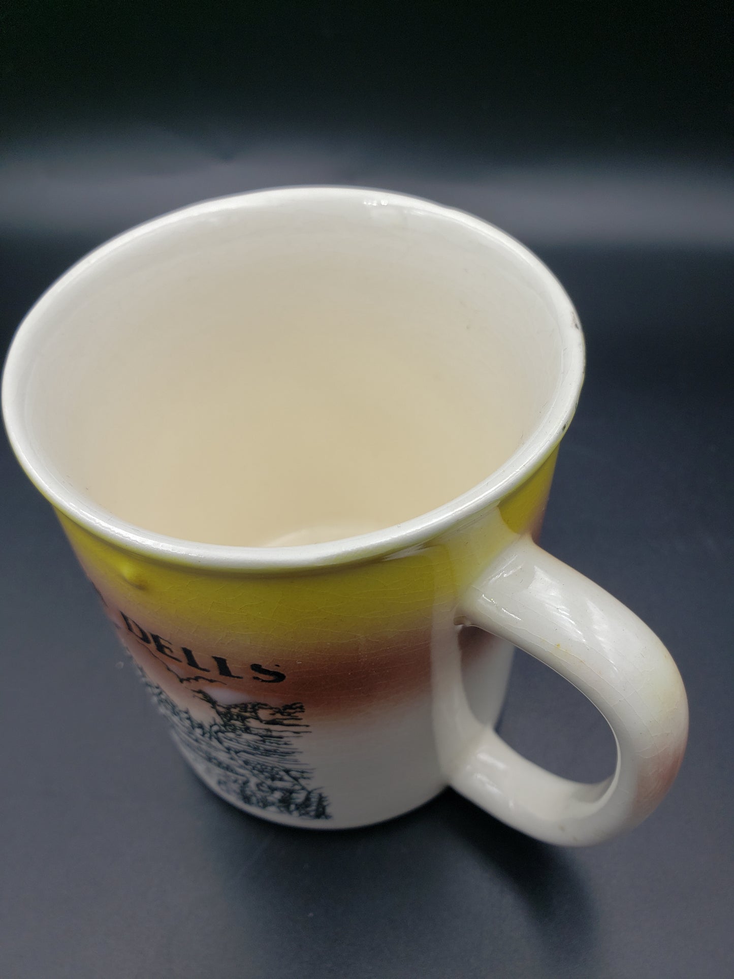 Vintage Wisconsin Dells Collector Mug