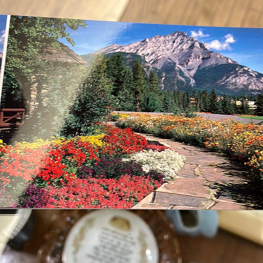 Banff post card book