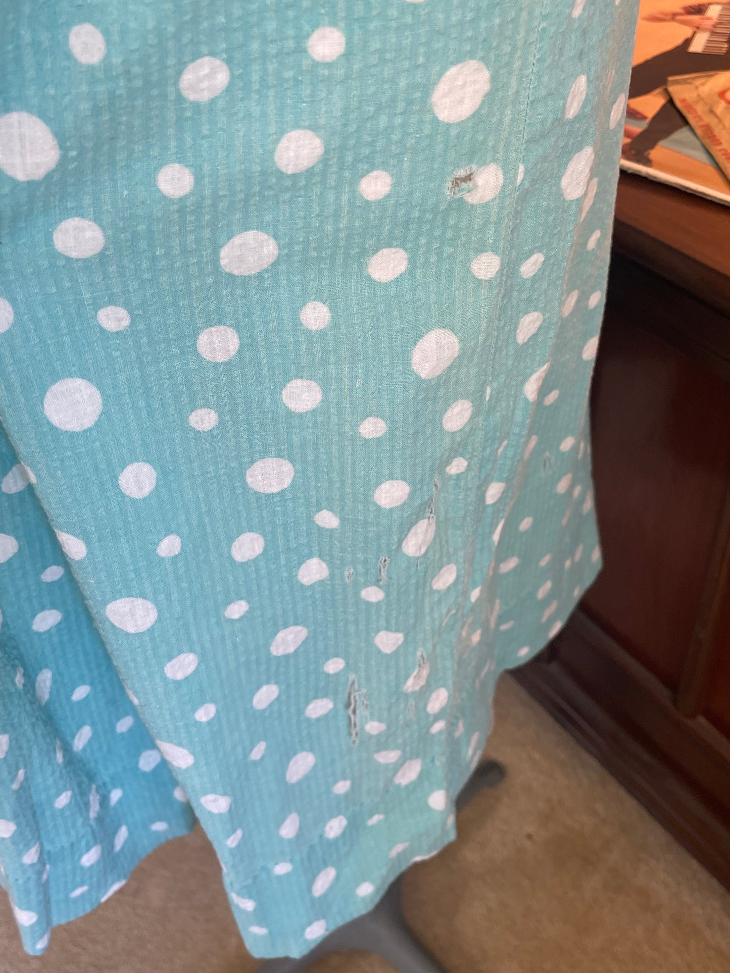 Teal Polka Dot Day Dress