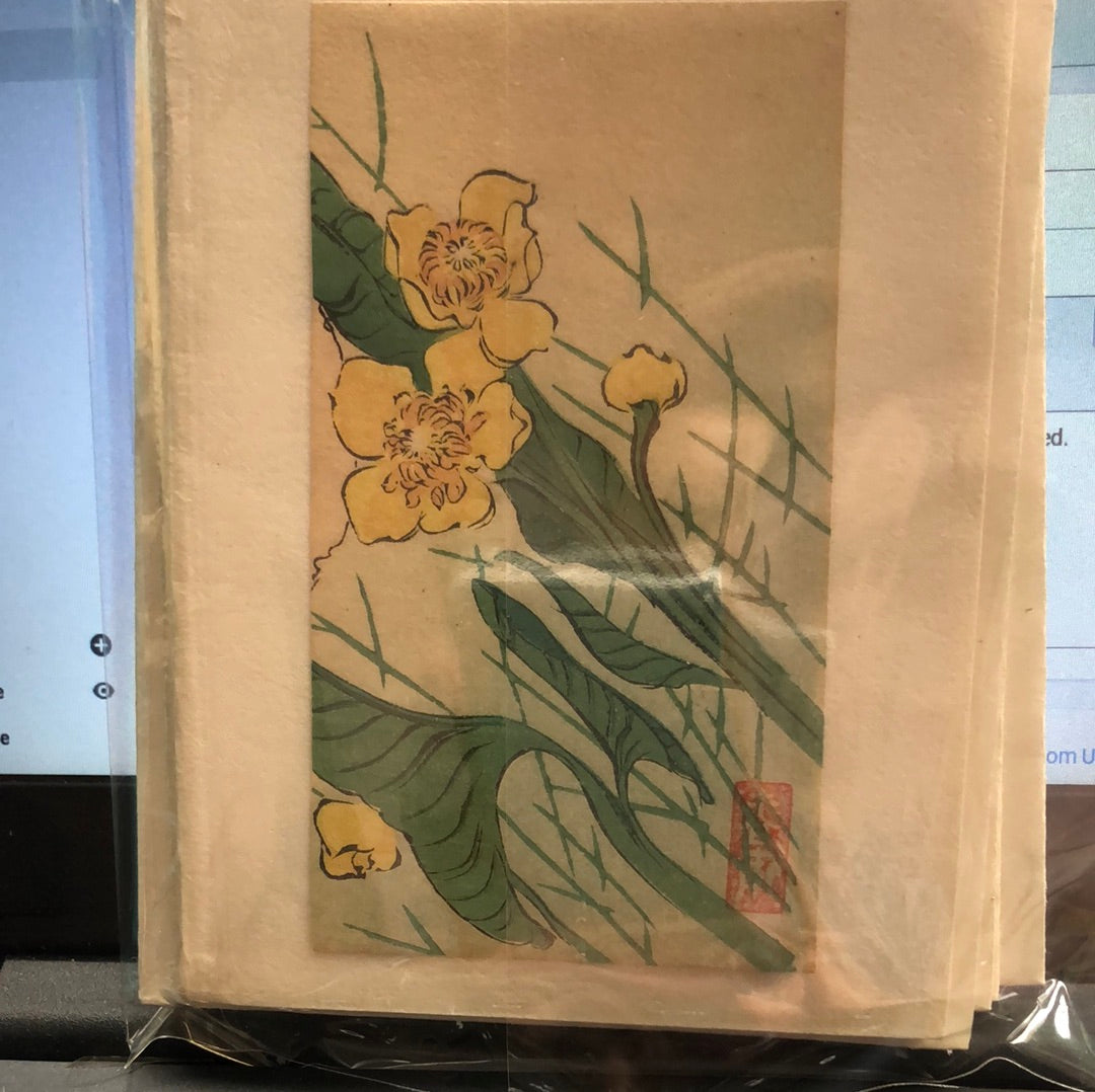 MIxed floral blank card