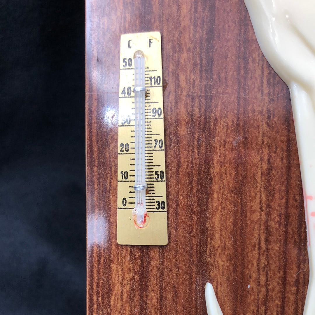 Thermometer with crane