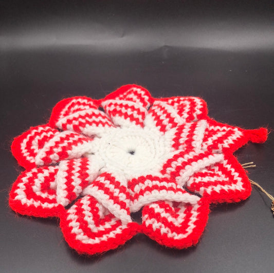 Knit pot holder/trivet
