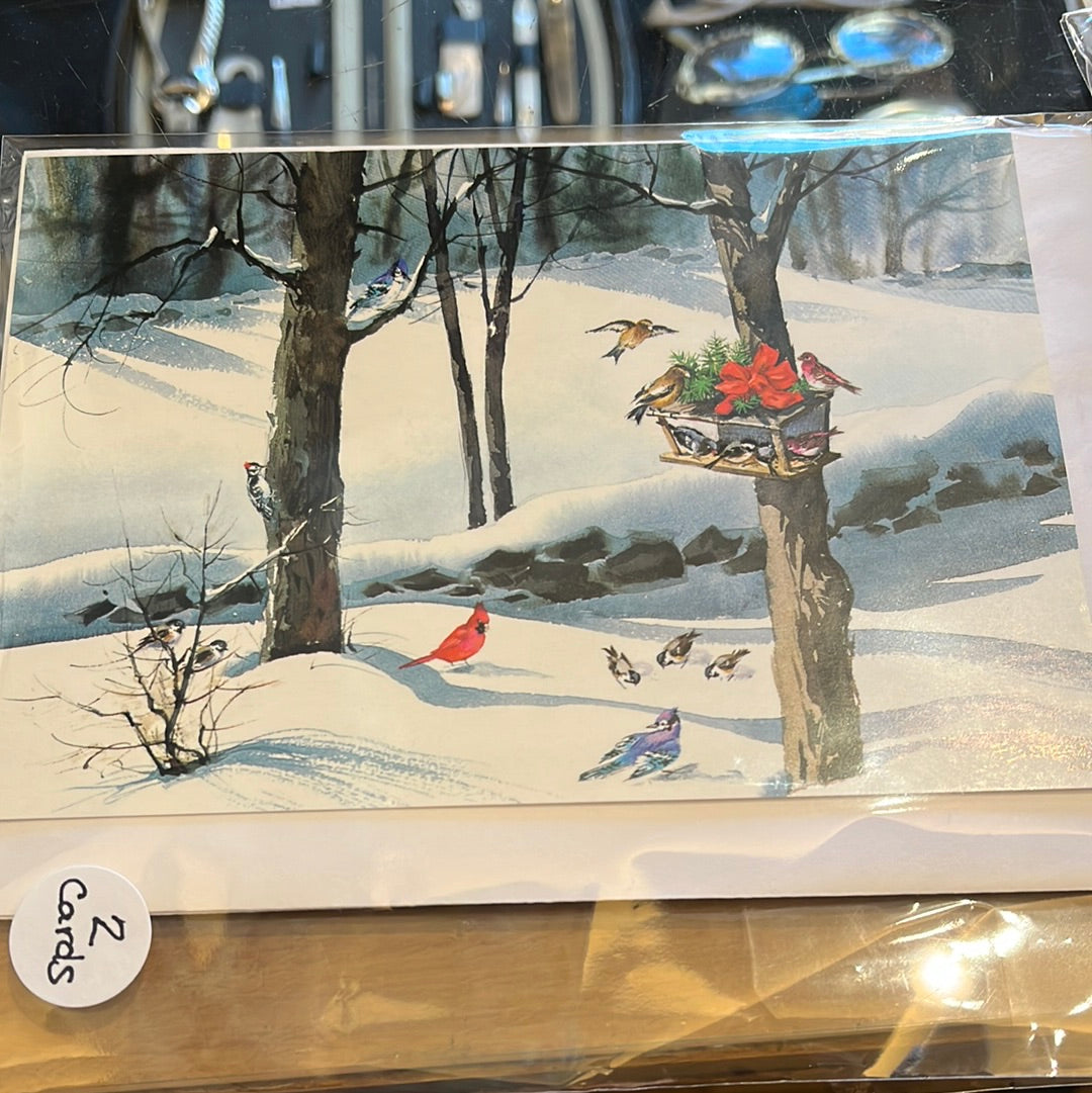 Bird Feeder holiday card 2 pack