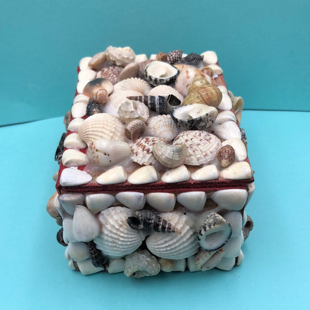 Shell Trinket Box