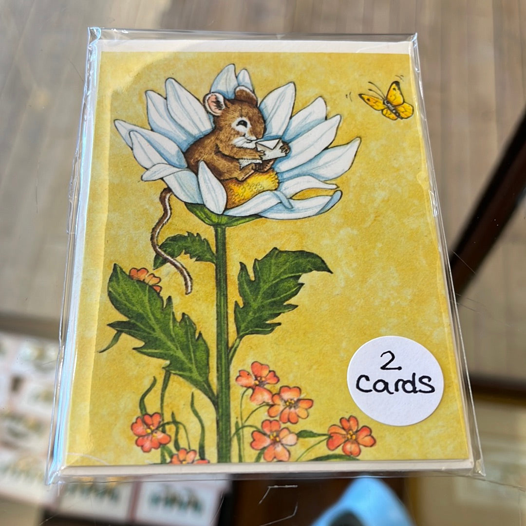 Set of 2 any occasion card