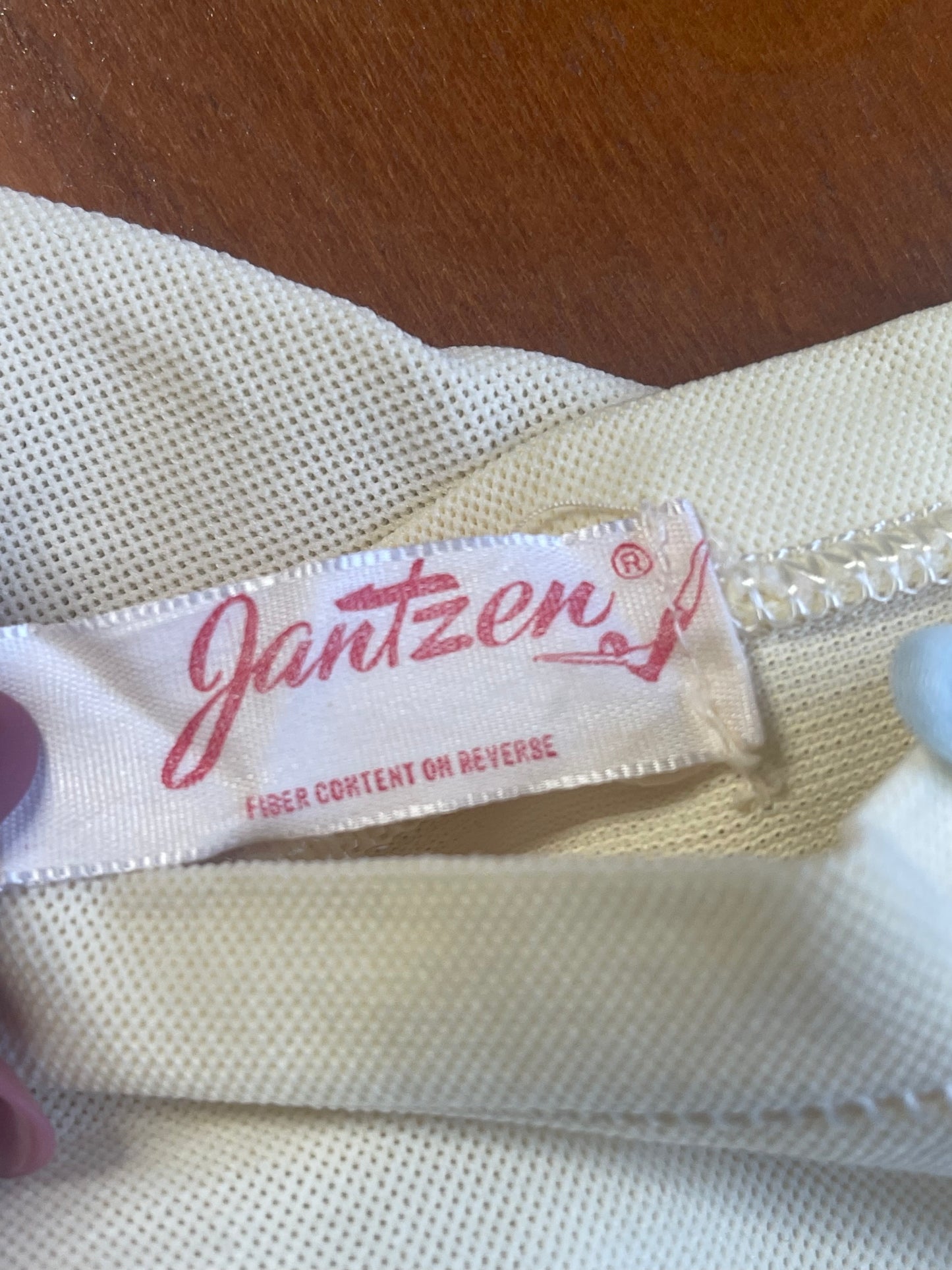60s Janzten Girdle/Garter