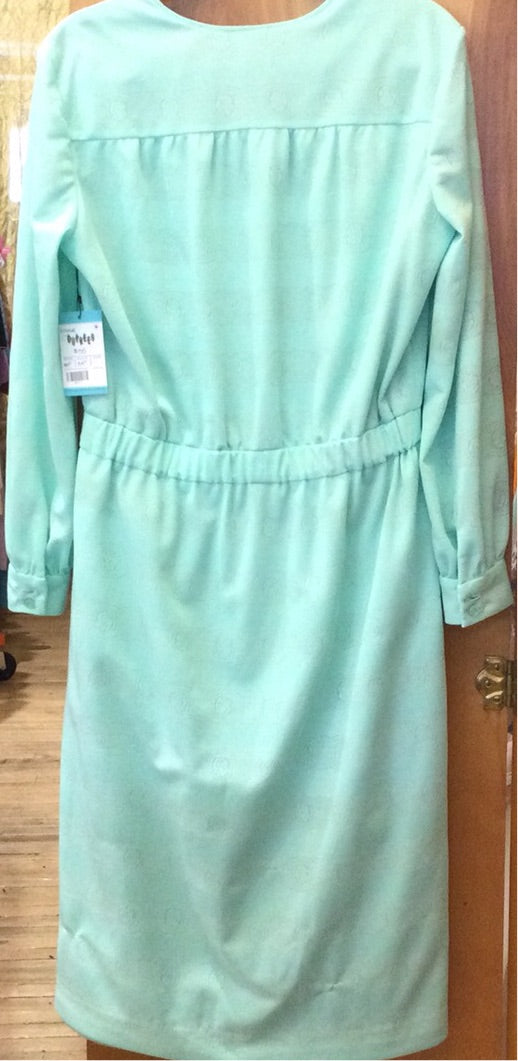 70s Mint green Knit Button Up Dress