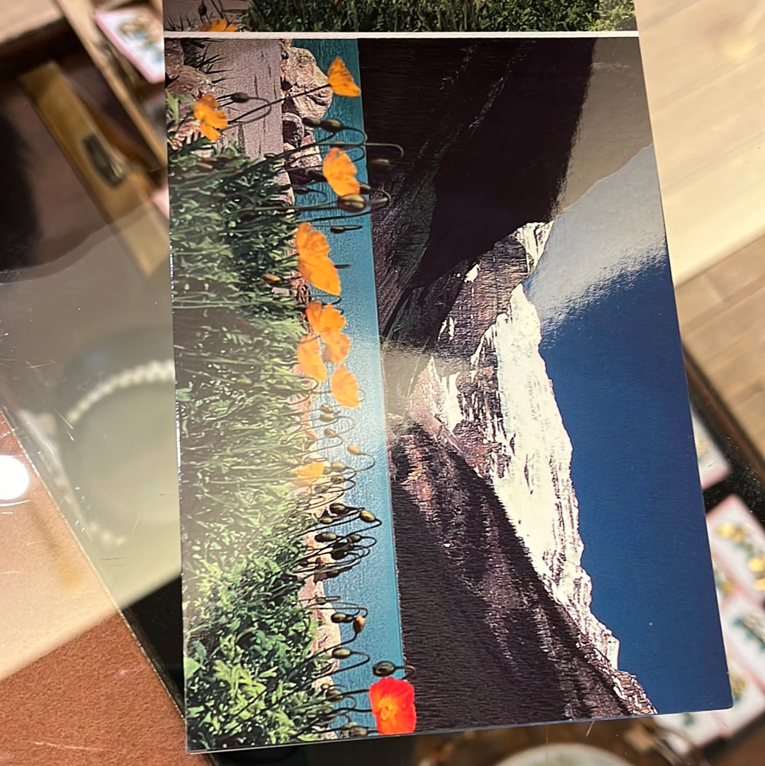Lake Louise post card book