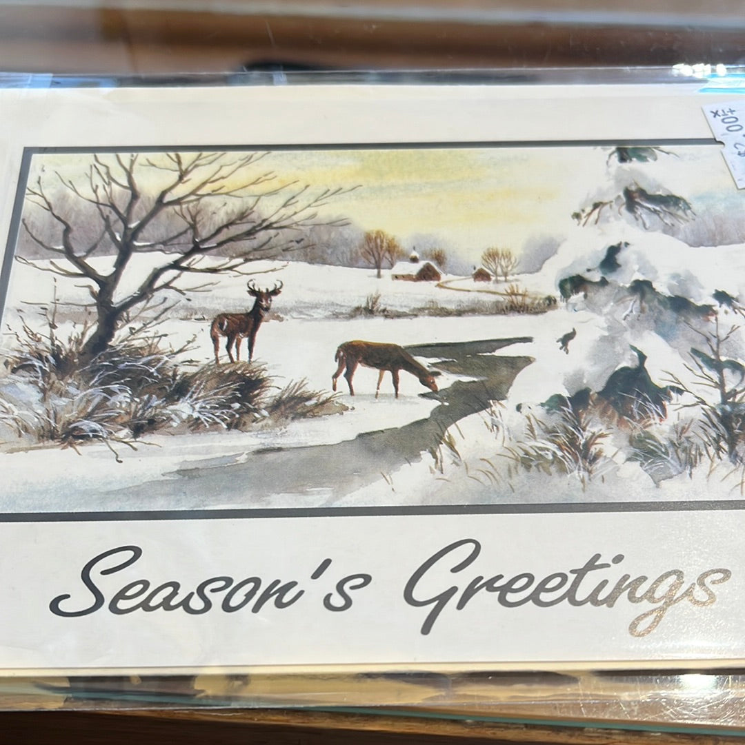 Holiday card two pack