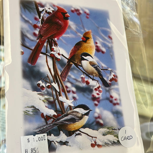 Snowy Birds holiday card