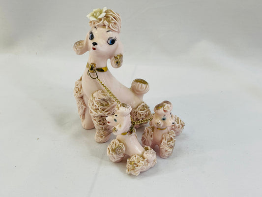 Pink Spaghetti Poodles with Puppies