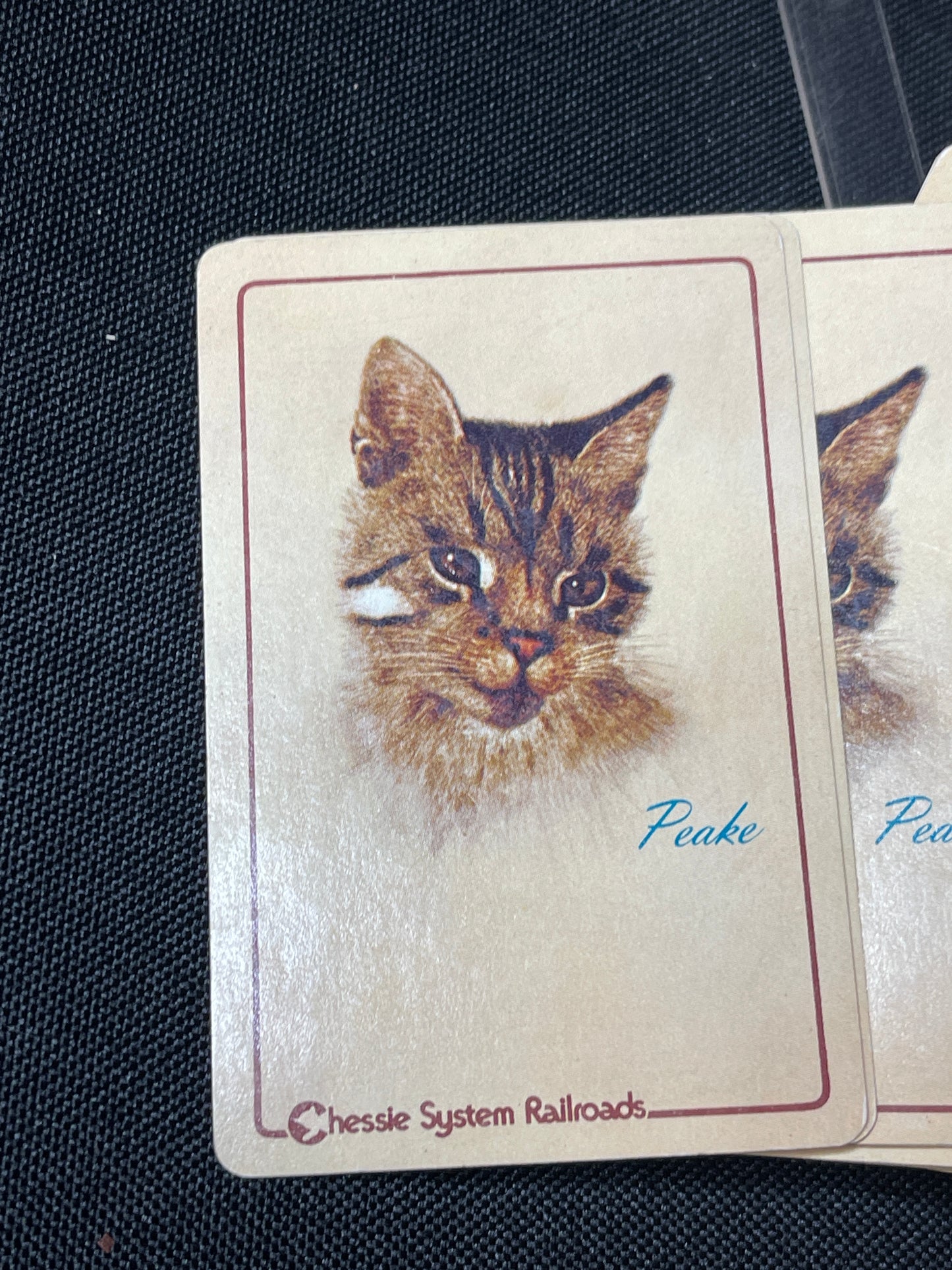 70s Cat Playing Cards