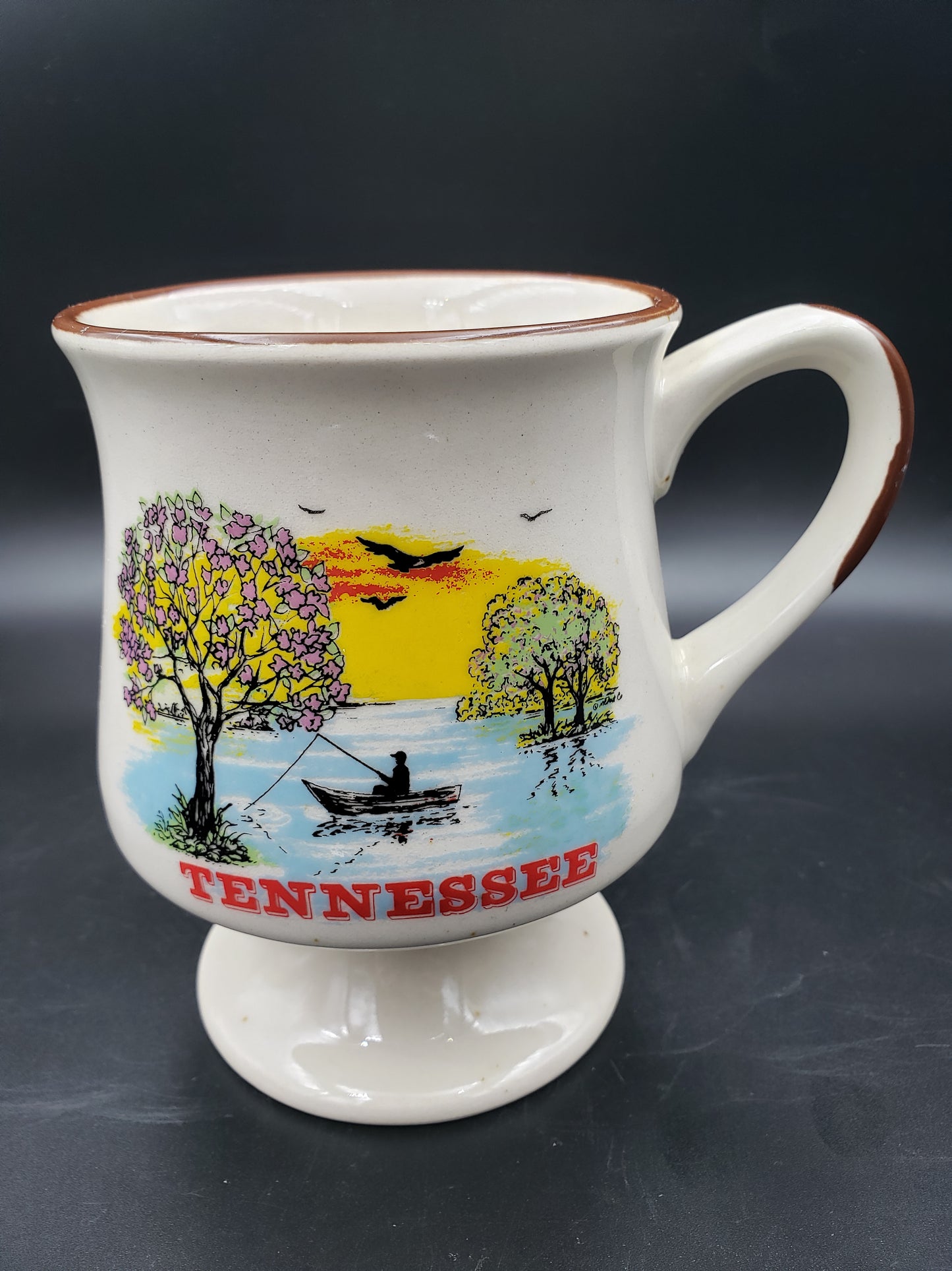 Vintage Tennessee State Collector Mug