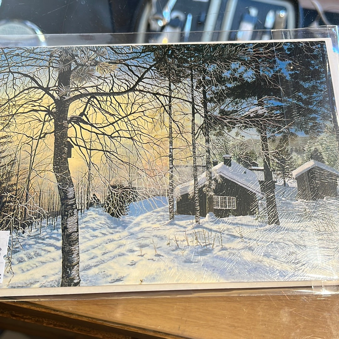 Holiday card two pack