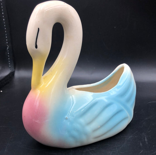 Shawnee Swan