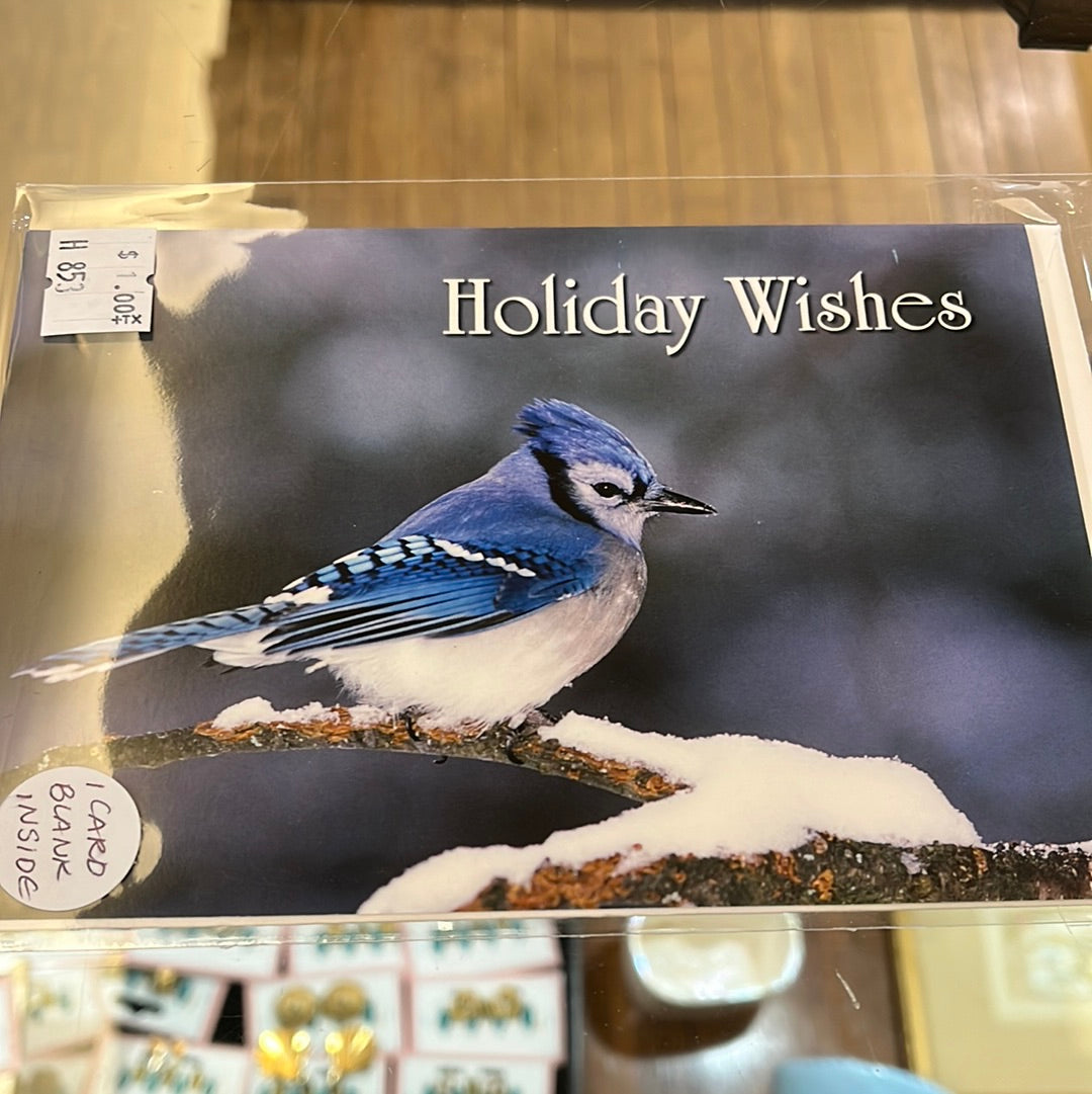 Blue bird photo holiday card