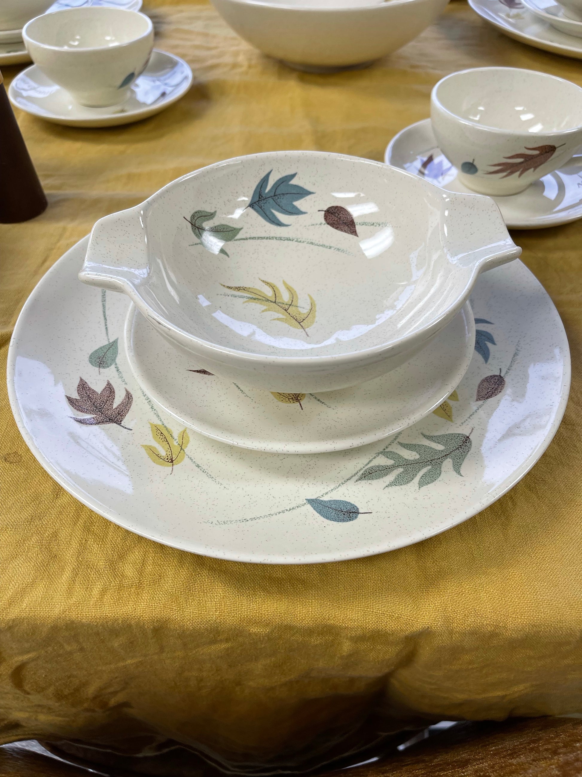 Dinnerware Sets Vintage Franciscan Dishes Franciscan Autumn Dish