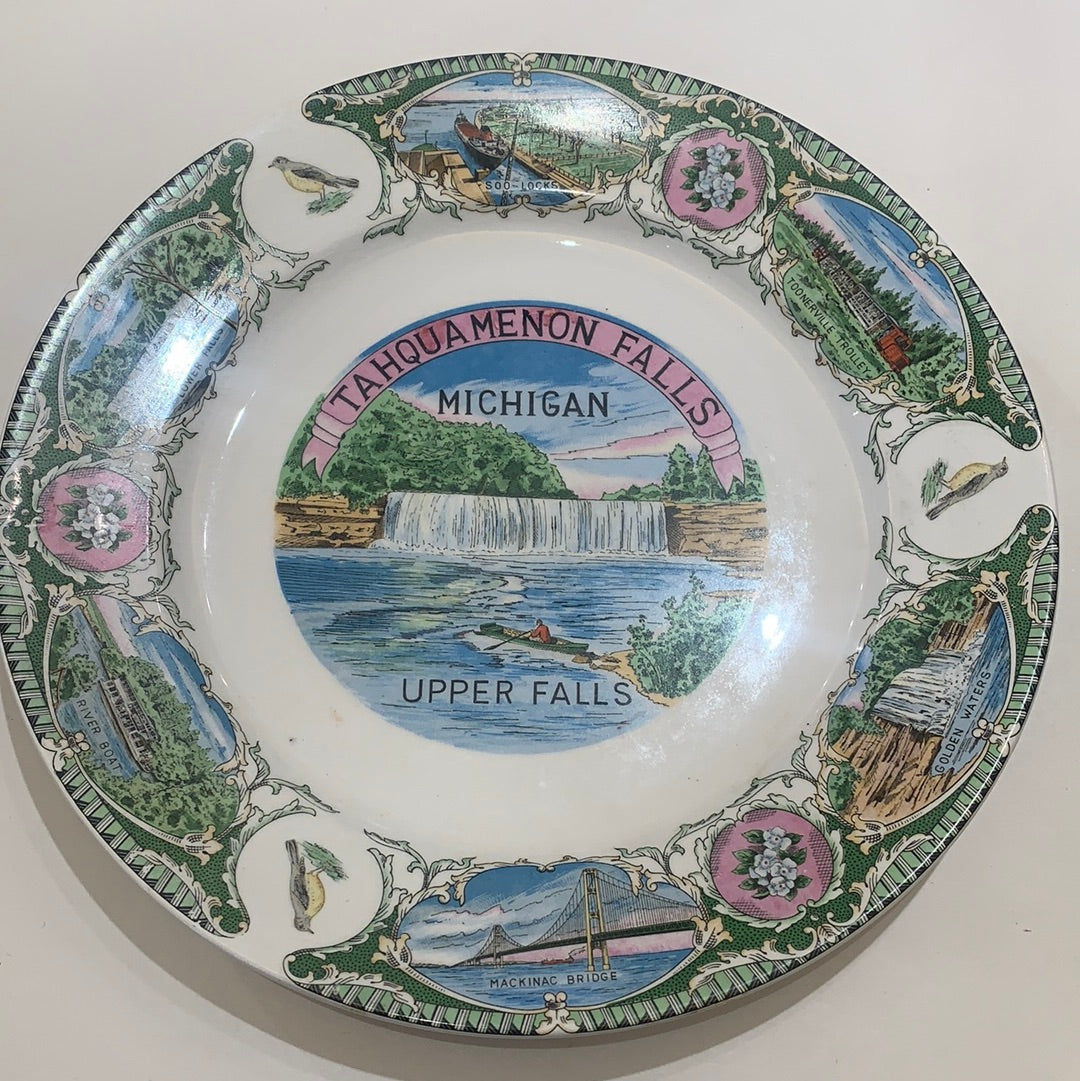 Michigan plate